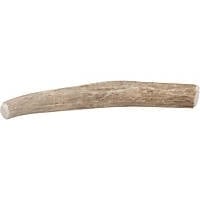 Large Deer Antler