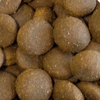 Cooke's Grain Free Adult Large Breed Turkey, Sweet Potato & Cranberry Complete 12kg