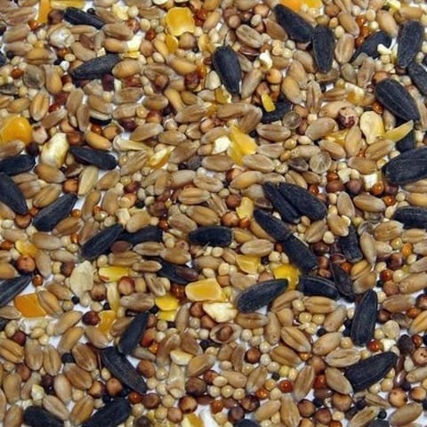 Marks Tey Aniseed Wild Bird Mix 20kg