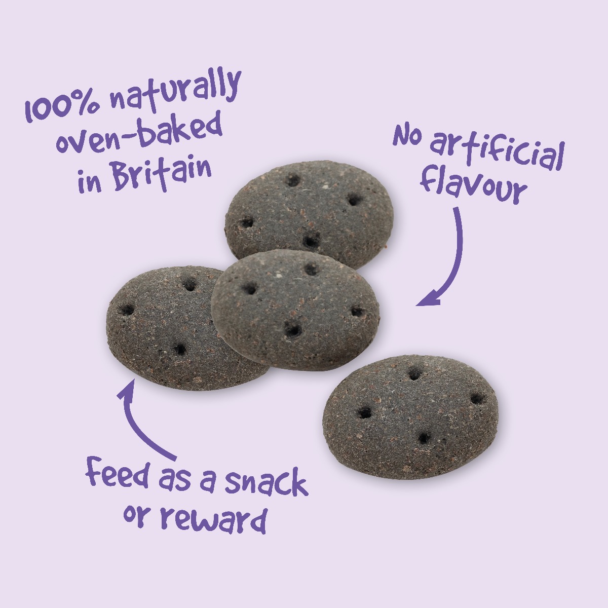 Pointer Charcoal Cobs 10kg - Image 3