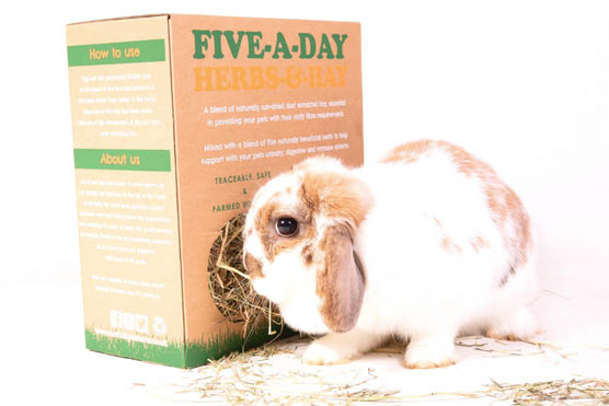 Herbs and Hay - Image 6