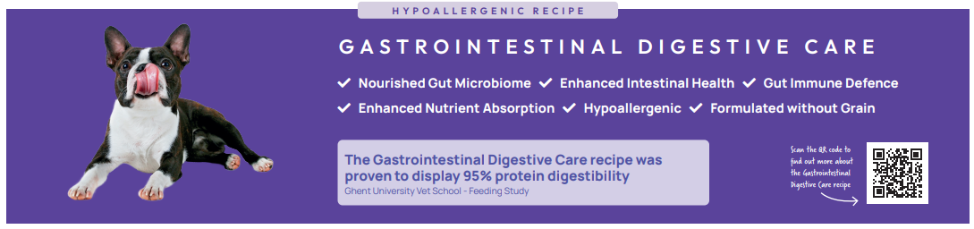 Gastrointestinal Digestive Care Banner