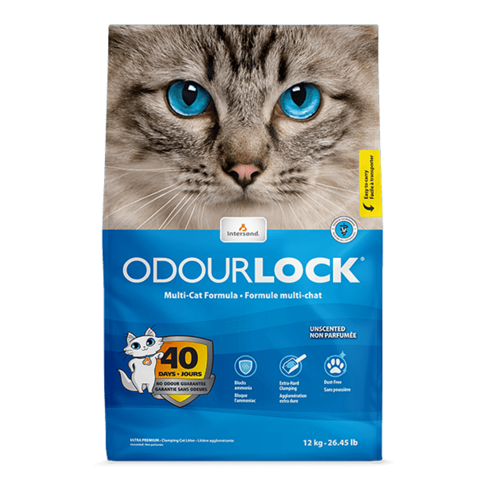Intersand Odourlock Cat Litter 12kg
