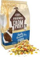 GERTY GUINEA PIG