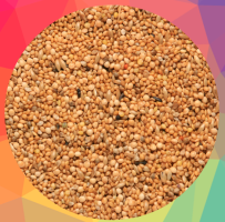 Skygold-Special-Foreign-Finch-Ingredients