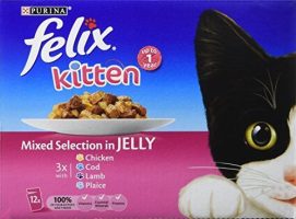 felix kitten fish meat pouch
