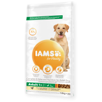 iams adult LB