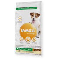 iams adult SM