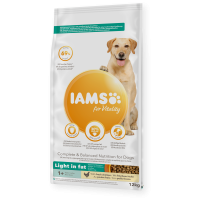 iams dog light