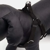 Classic Soft Protection Dog Harness Small