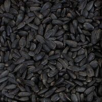 Black Sunflower 2kg