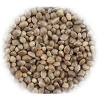 Hemp Seed 1kg