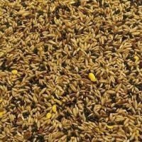 Mixed Canary 2kg