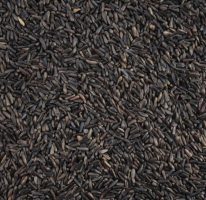 Niger Seed 25kg