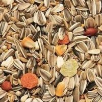 Parrot Mix 2kg