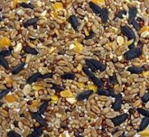 Aniseed Wild Bird Mix 2kg
