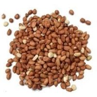 Wild Bird Peanuts 2kg