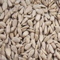 Sunflower Hearts (kernels) 5kg