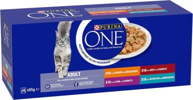 Purina One Adult Pouch With Gravy 40 x 85g
